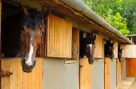 free Ballynafeigh stable construction quotes